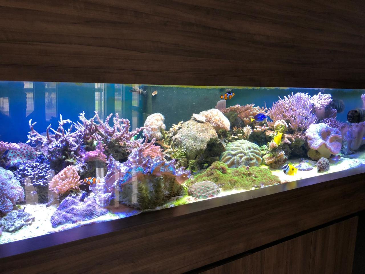 Acalantus Hotel Goiânia Dış mekan fotoğraf